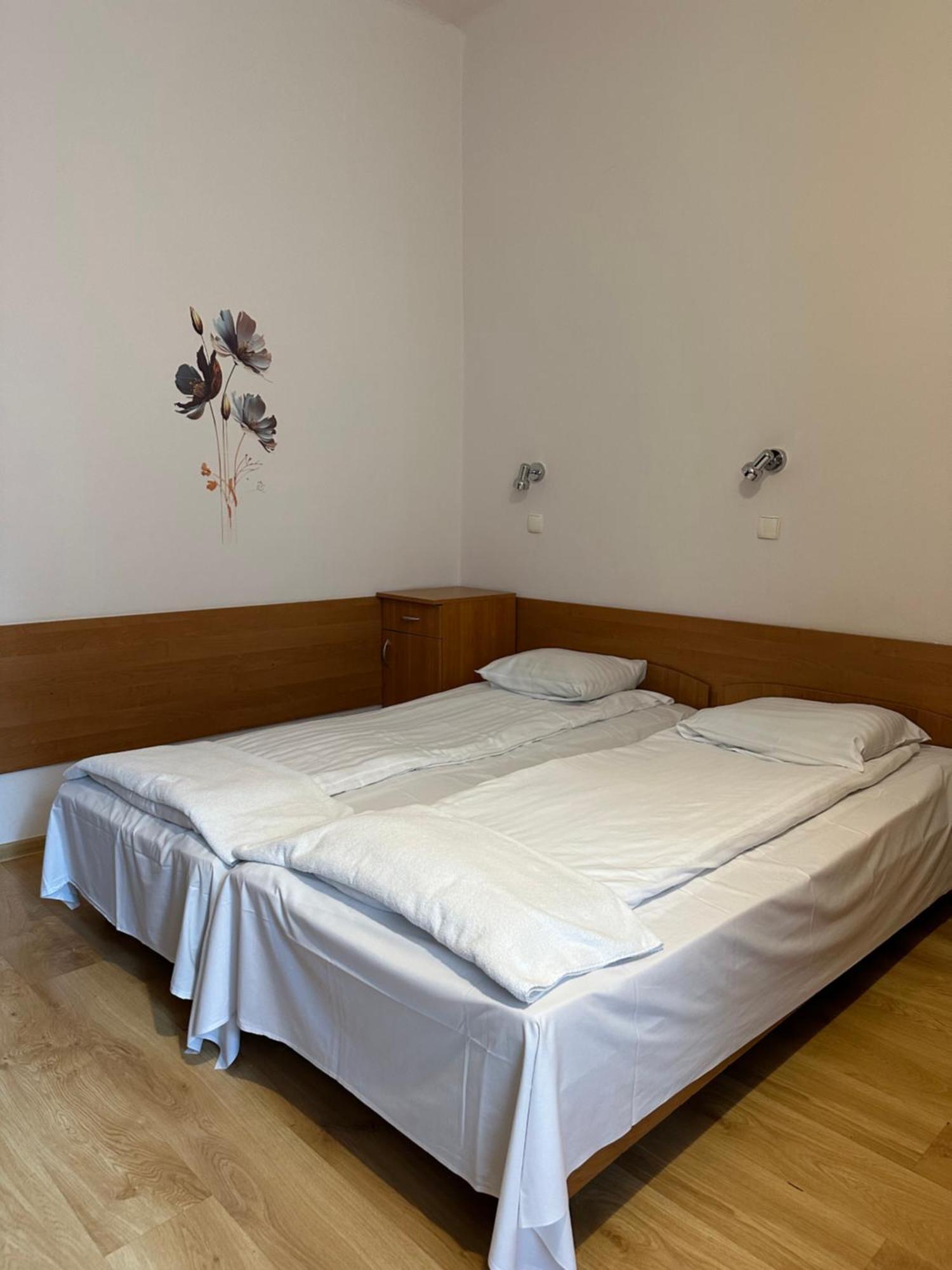 צ'סטוצ'ובה Hotel Haga מראה חיצוני תמונה